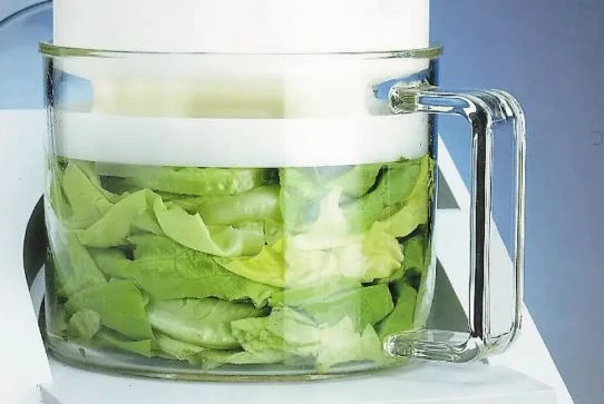 GM 200 grinding container with lettuce, before grinding